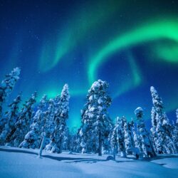 Wallpapers lapland, finland, winter, snow, tree, northen lights