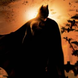 digital art movies batman begins batman bats wallpapers and backgrounds