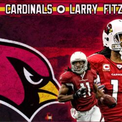 FREE NFL Larry Fitzgerald Wallpapers