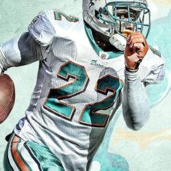 HD Miami Dolphins Wallpapers and Photos HD Sport Wallpapers