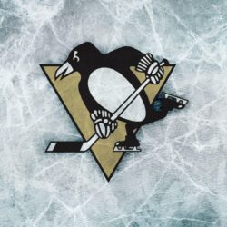 Pittsburgh Penguin Wallpapers And Border