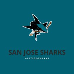 SAN JOSE SHARKS hockey nhl