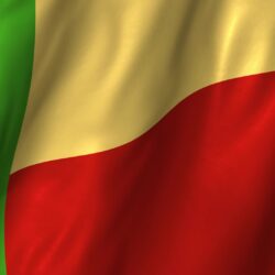 Flag Of Benin