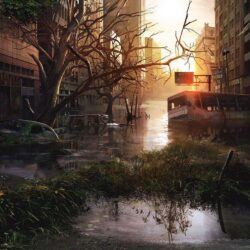 The Last Of Us HD Wallpapers and Backgrounds