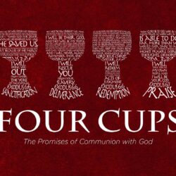 The Four Cups of Passover