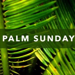 Palm Sunday JAM « Magheralin Parish