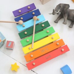 Xylophone Group with 60+ items