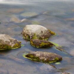 Katmai National Park and Preserve Pictures: View Photos & Image