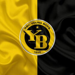 Download wallpapers BSC Young Boys, 4k, silk texture, logo, swiss