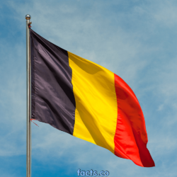belgium flag hd photo 2