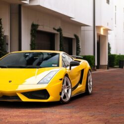 You can download Lamborghini Gallardo Yellow Hd Wallpapers For