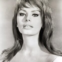 Sophia Loren photo 236 of 742 pics, wallpapers