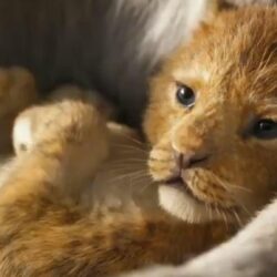 The Lion King: Watch first trailer for remake starring Beyonce and