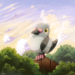 Pokemon Pidove by jkz123pl