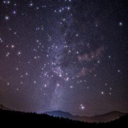100+ Beautiful Cosmos Photos