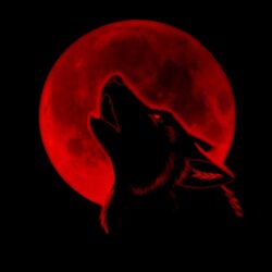 Red Moon Wallpapers 28.01 Kb