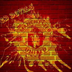 Manchester United Logo Club 29 HD Image Wallpapers