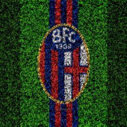 Download wallpapers Bologna FC, 4k, logo, football lawn, Italian