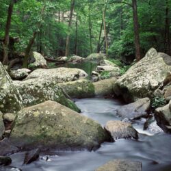 Lakes cedar Arkansas creek wallpapers