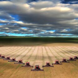 Combines harvesting wheat in I believe North Dakota.