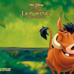 The Lion King Disney free Wallpapers