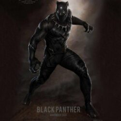 Black Panther Movie 2017 Casting Release HD Wallpapers