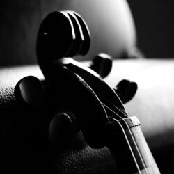 Violin Is An Instrument Wallpapers HD 8715 Wallpapers