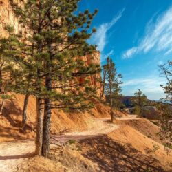 Bryce Canyon National Park, Nature, Landscape, Desert, Trees