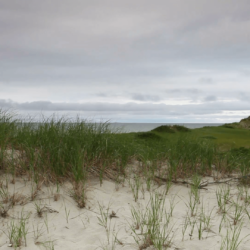 Sand dunes beach on the Cape Cod National Seashore on the Atlantic