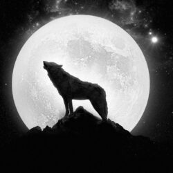 Wolf Super Moon Wallpapers Android