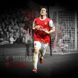 Download Free Cesc Fabregas Arsenal Team Players Wallpapers