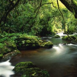 Waterfall in Costa Rica Rainforest Wallpapers Rivers Nature