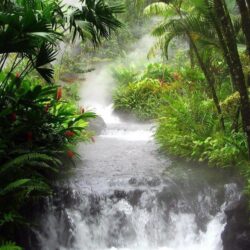 Waterfall in the jungle wallpapers