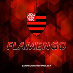 Vários Wallpapers do Flamengo ~ Flamengo Fotos