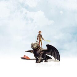 How to Train Your Dragon 2