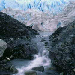 Nature: Exit Glacier Kenai Fjords National Park Alaska, picture nr