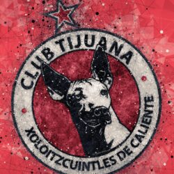 Download wallpapers Club Tijuana, 4k, geometric art, logo, Mexican