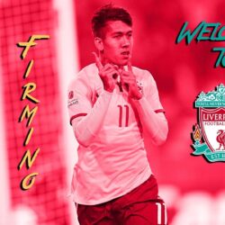 Roberto Firmino 2015 Welcome To Liverpool FC wallpapers