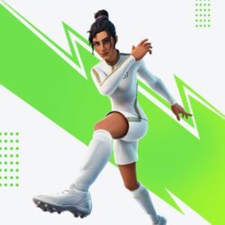 Pitch Patroller Fortnite wallpapers