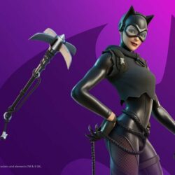 New Fortnite Catwoman Skin Is Available Now