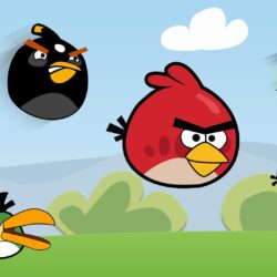 10 Cool And Beautiful Angry Birds WallpapersPhotography Heat