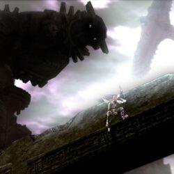 Shadow of the Colossus image Dont fall off HD wallpapers and