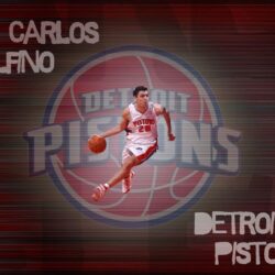 Carlos Delfino Detroit Pistons Wallpapers