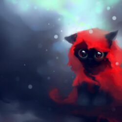 Red Riding Hood Cat HD desktop wallpapers : Widescreen : High
