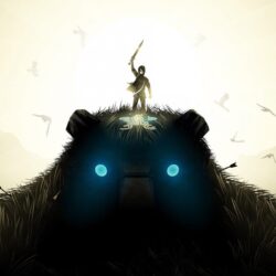 45+ Shadow Of The Colossus Wallpapers