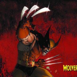Cartoon Wallpaper: Wolverine Anime Wallpapers