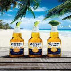 Wallpapers Corona Logo Pictures