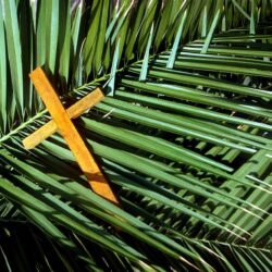 Palm Sunday Quotes from Bible, Wishes, Pictures and Image