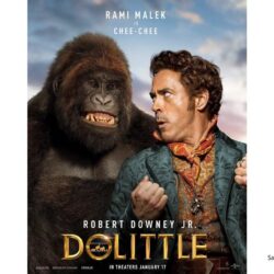 Dolittle Movie Wallpapers