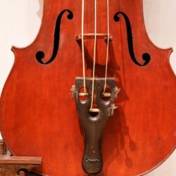 The World’s Best Photos of octobass